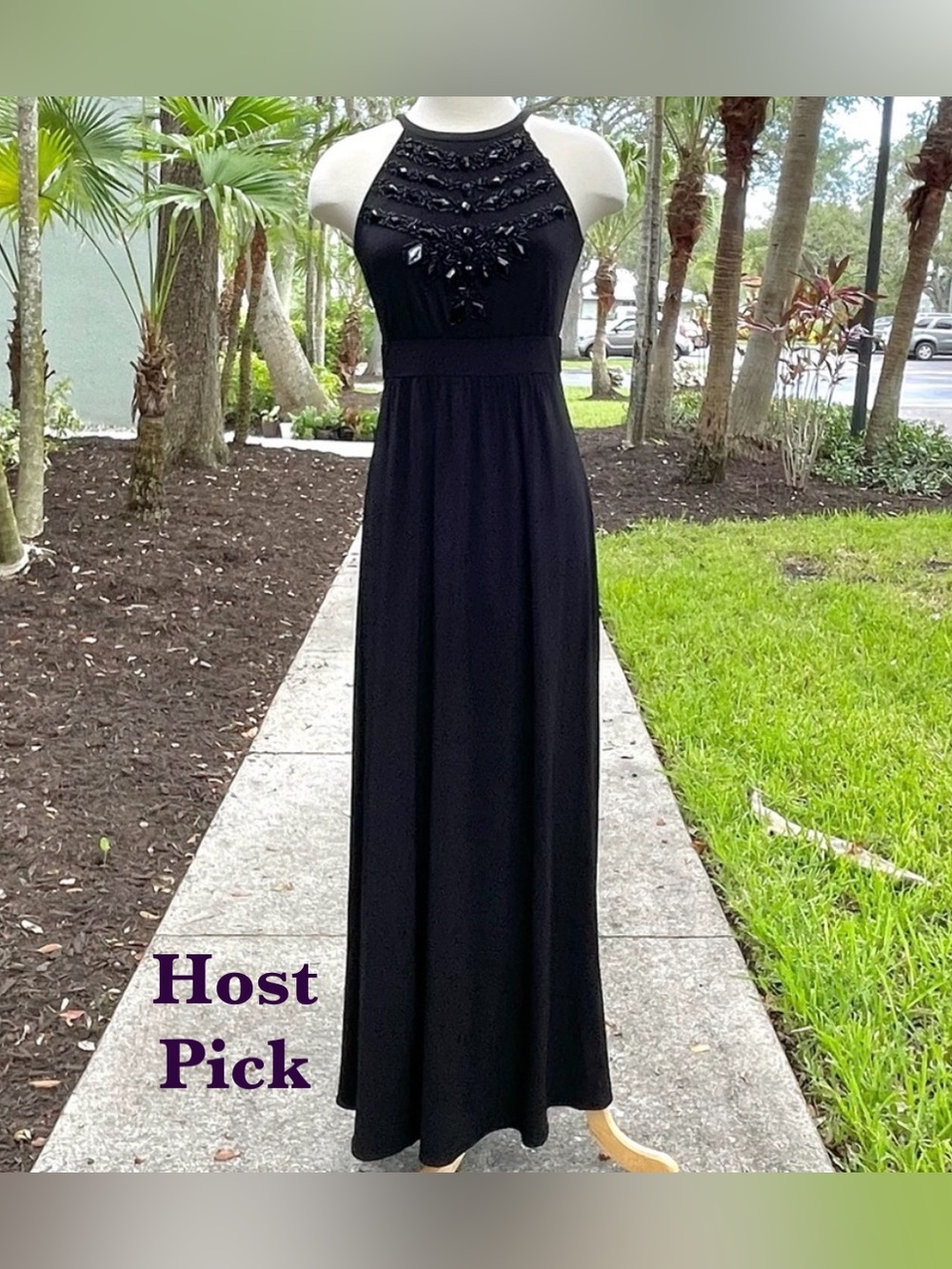 Gianni Bini Black Gem Maxi Dress Size 4 Stretch Rhinestone Halter Zipback Formal